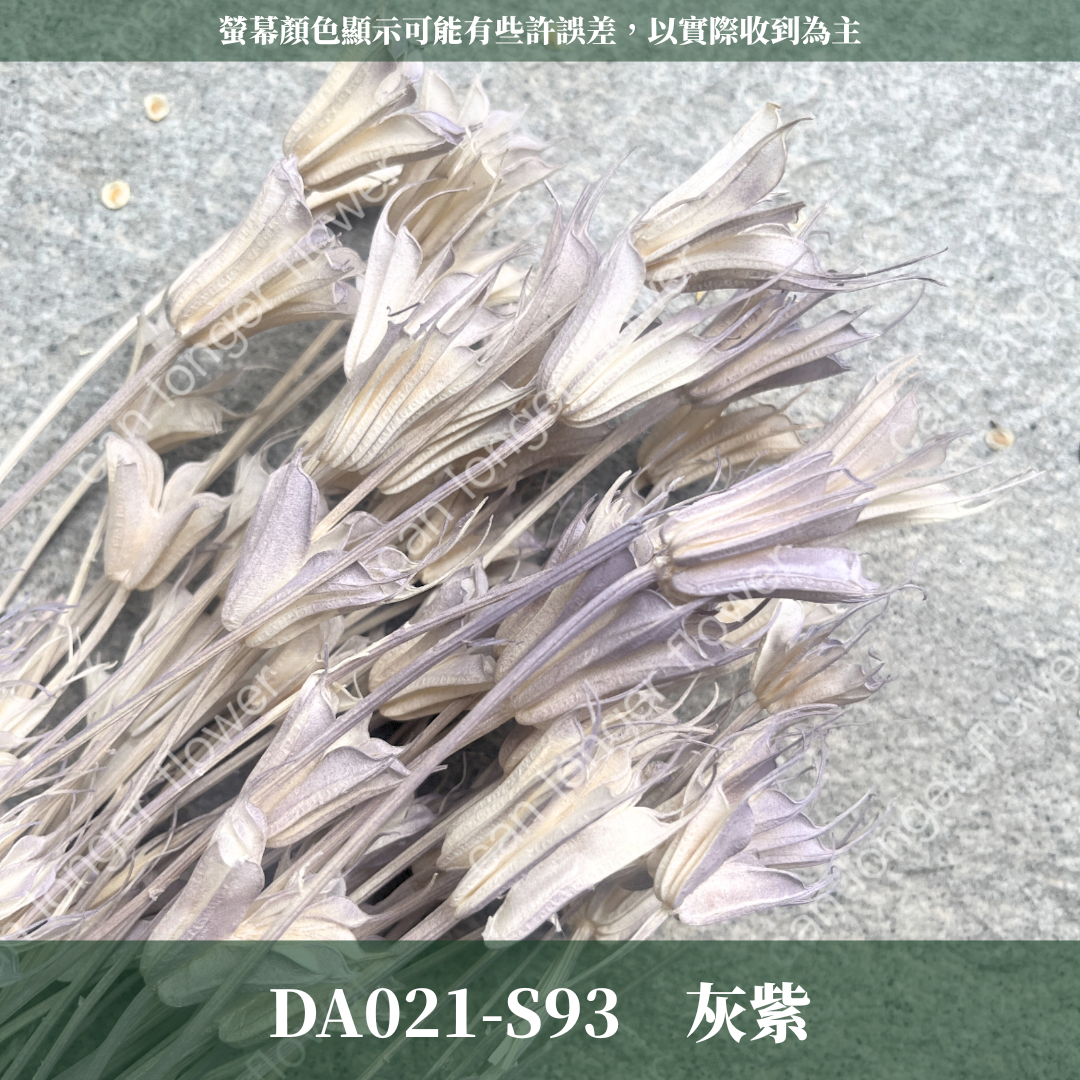 DA021 原裝木百合｜乾燥小百合 八角花 乾燥花材 花束 裝飾 DIY插花 浮游花 蠟燭材料 手作拍照道具 台灣現貨