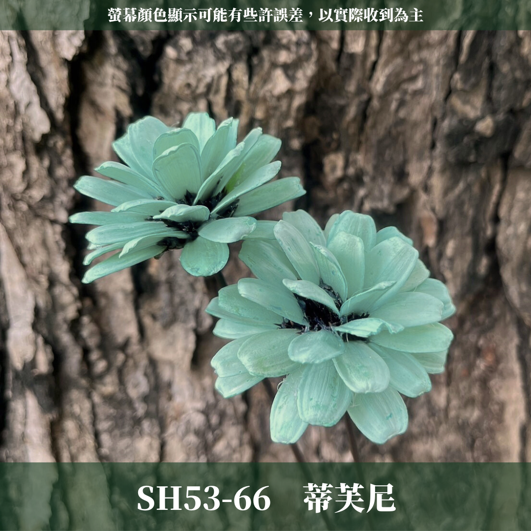 SH53 原裝瓜子球 （2支裝） 台灣現貨