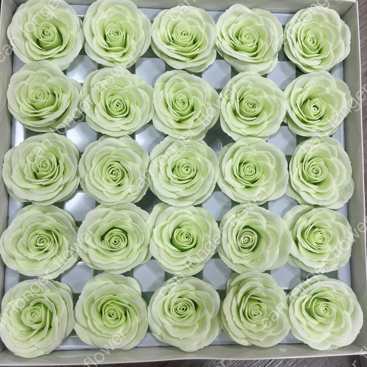 AS001 甦醒玫瑰 25朵裝 香皂花