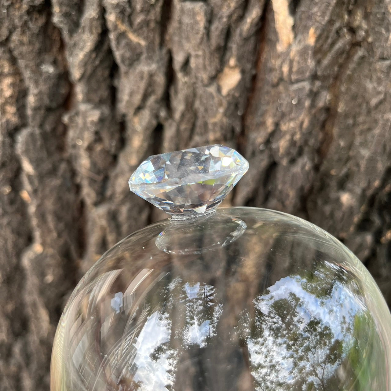 ✿ 台灣現貨 ✿ CG-L 罩盅L