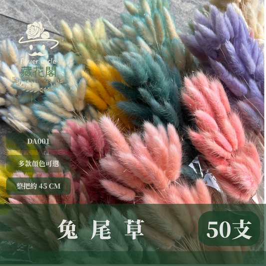 DA001 兔尾草 原裝約50-60支 台灣現貨