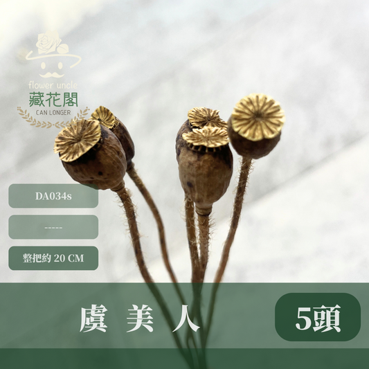 DA034s 虞美人 小包 台灣現貨