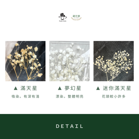 PF002-S 小份量夢幻星｜A級漂色滿天星 特級漂白滿天星 夢幻滿天星 永生花  乾燥花 拍照道具 店面佈置 DIY手作