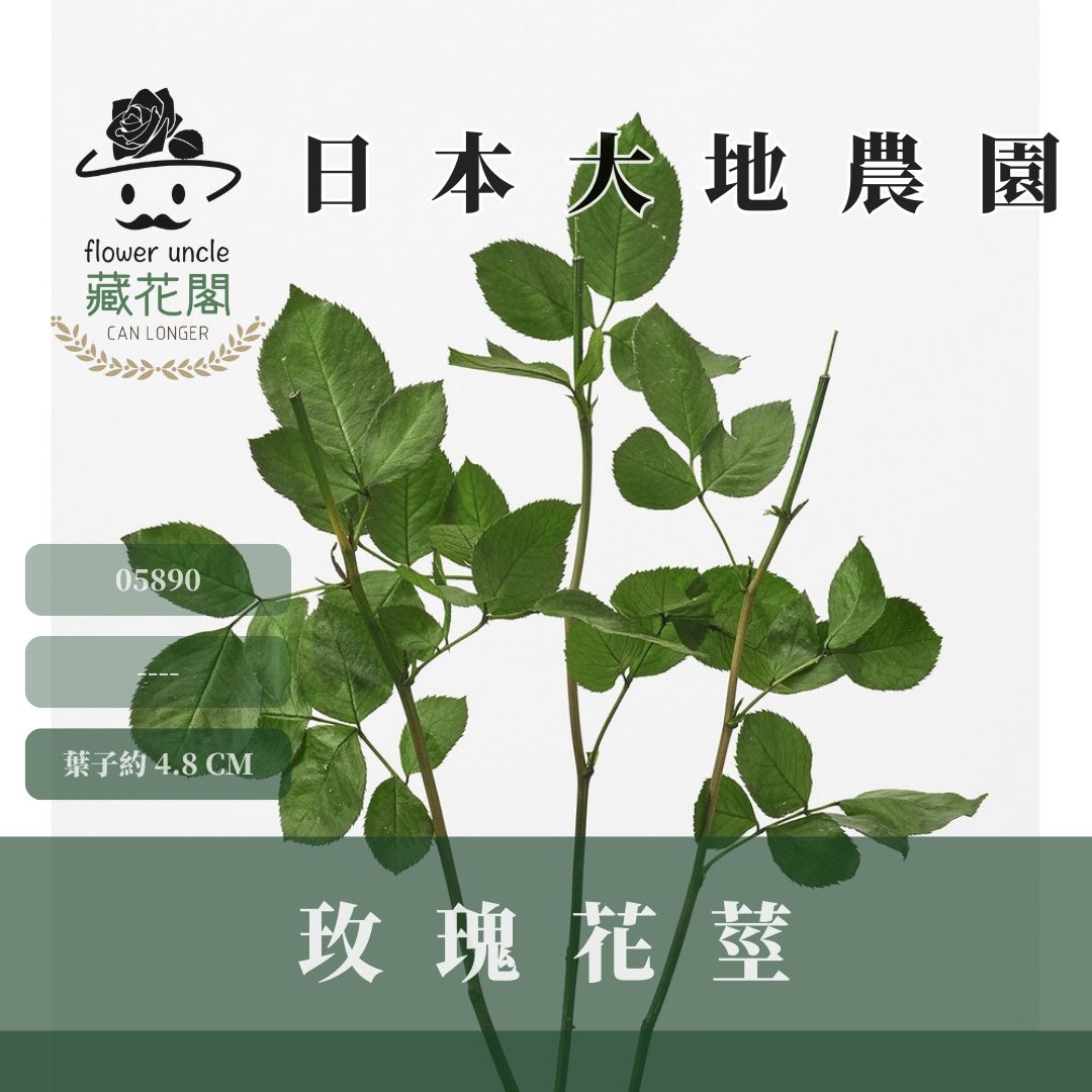 05890 日本大地農園玫瑰花莖 (5支/包) ｜日本進口天然花莖 葉子 樹葉 花束diy 永生花 乾燥花 不凋花