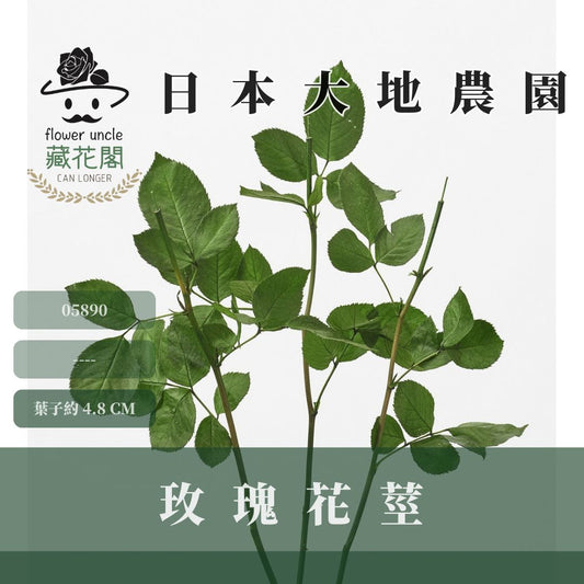 05890 日本大地農園玫瑰花莖 (5支/包) ｜日本進口天然花莖 葉子 樹葉 花束diy 永生花 乾燥花 不凋花