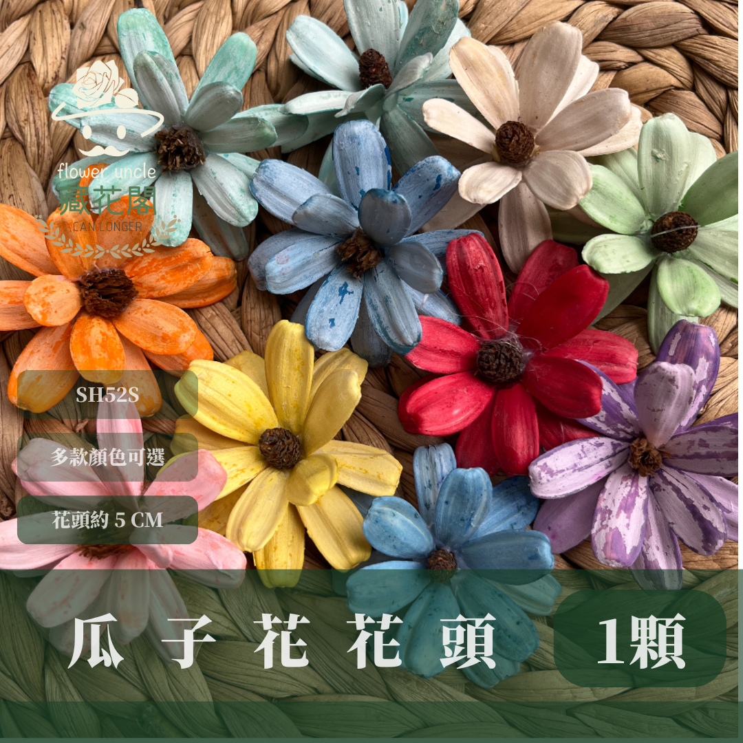 SH52S 瓜子花花頭 單朵 台灣現貨