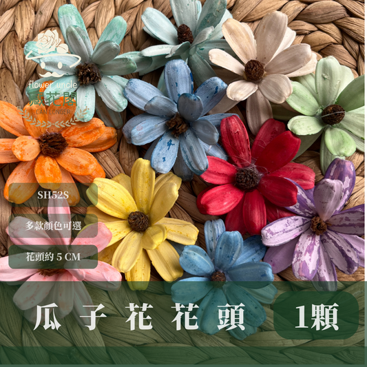 SH52S 瓜子花花頭 單朵 台灣現貨