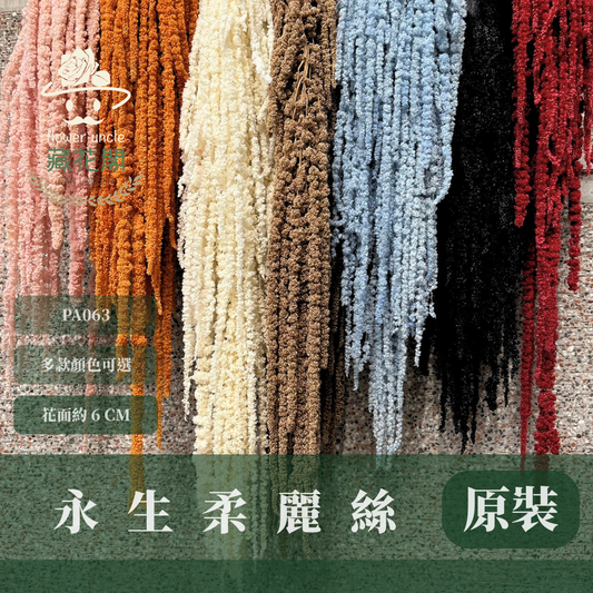 PA063 原裝柔麗絲 永生柔麗絲 永生花 永生花材 紅藜 彩虹米