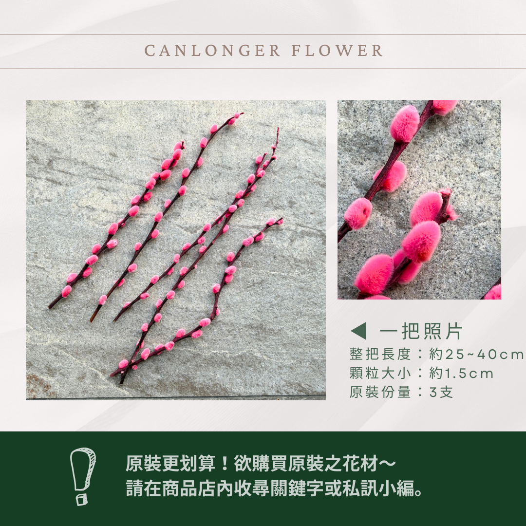 PA014S 銀柳經濟包｜招財永生銀柳枝條 彩色貓柳 染色細柱柳 春節花禮 過年花材 節氣佈置 年宵花 乾燥花