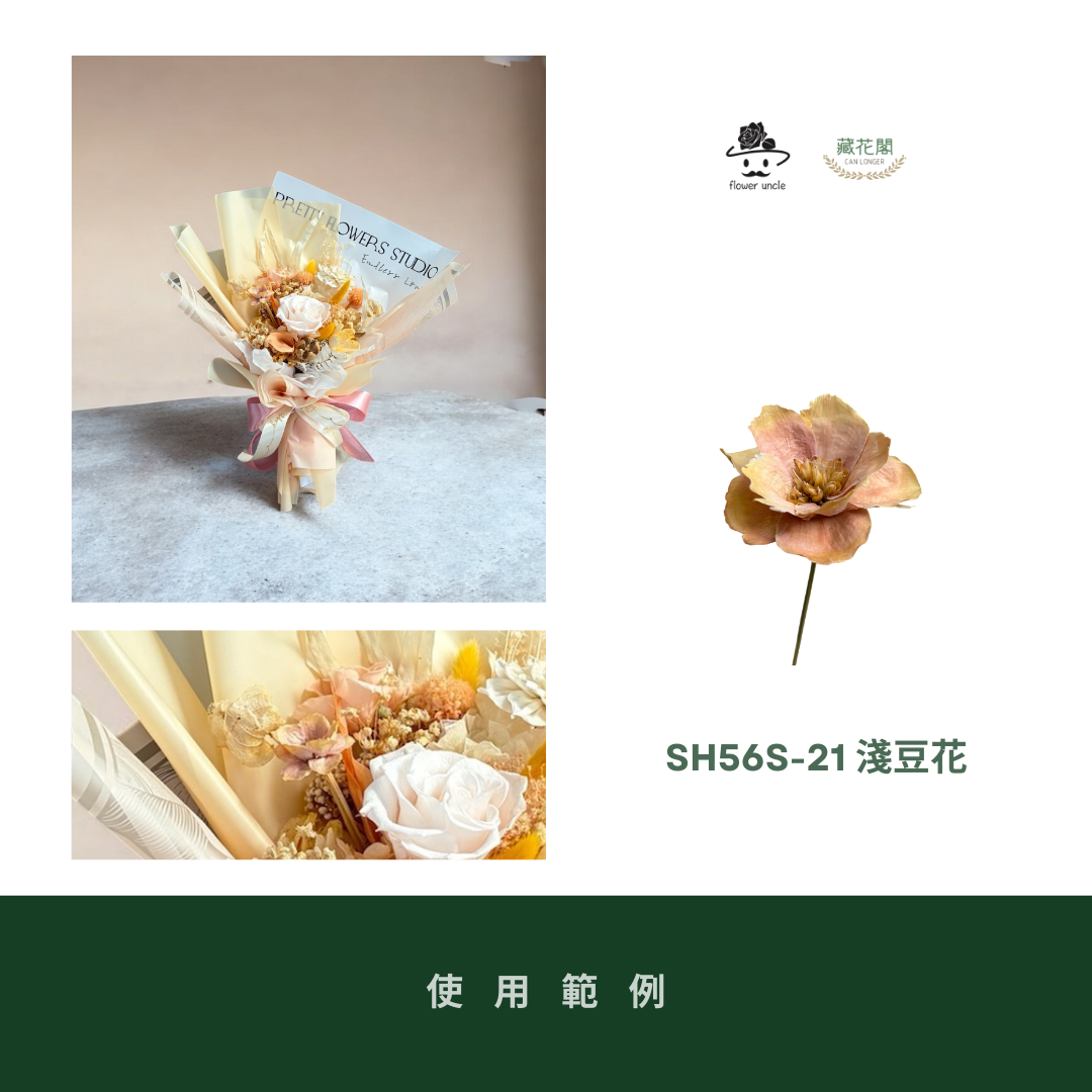 SH56S 手工銀連花 單支｜9種顏色！A級乾燥花材料包 手工花主花 永生花 不凋花瓜子花花材 花束花材 花藝師必買