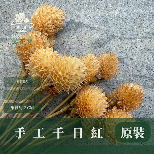 SH05 手工復古千日紅｜草莓果 乾燥花 手工花 圓仔花 diy花材 乾燥果實 聖誕佈置 花環裝飾 手工蠟燭材料