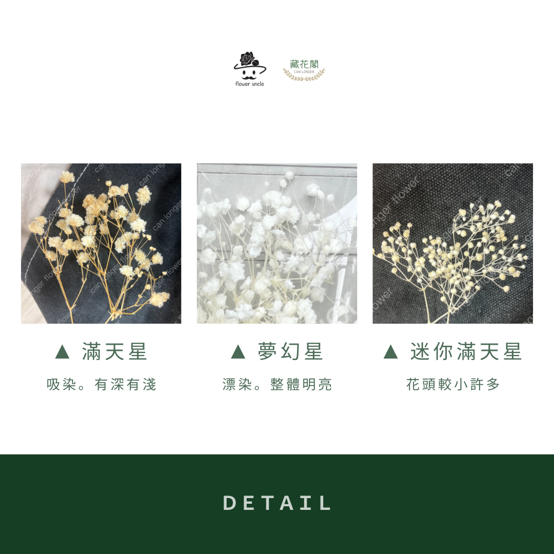 PF001 原裝滿天星｜買四送一！A級永生滿天星工廠直供 拍攝婚禮佈置 韓式不凋滿天星 抖音款永生花 乾燥花 桌花花束