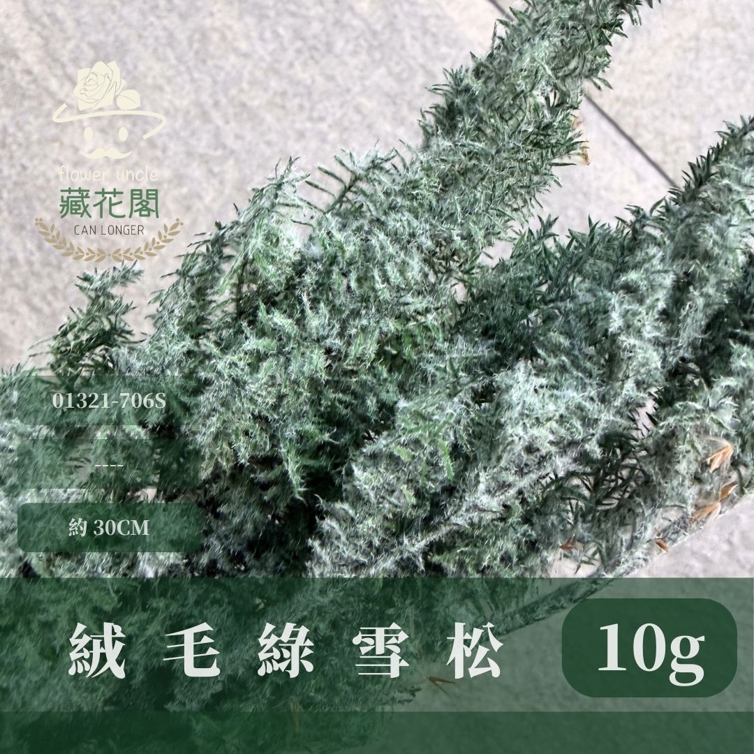 01321-706S 絨毛綠雪松經濟包｜日本大地農園永生雪松 進口不凋雪松 手作聖誕花圈 聖誕樹diy花材 ヒムロスギ