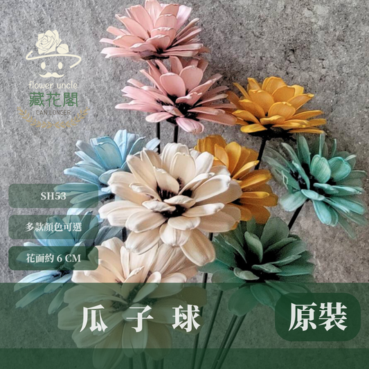 SH53 原裝瓜子球 （2支裝） 台灣現貨