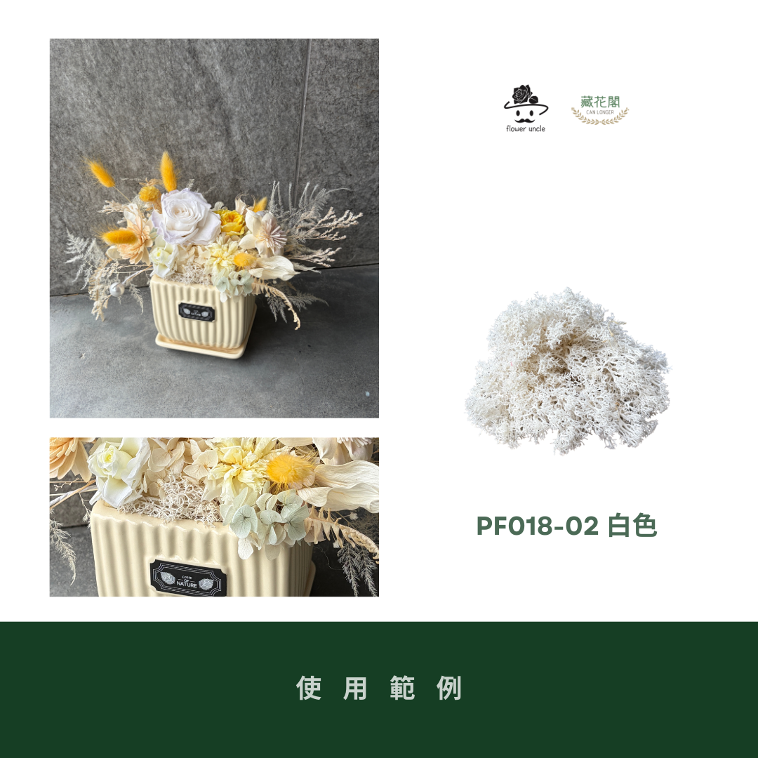 PF018-XS 永生馴鹿苔補充包｜特級永生水草 微景觀水苔 苔蘚造景 乾燥花 不凋花 永生花藝材料 撲底用草 假草皮