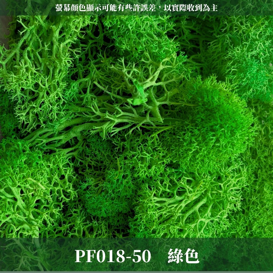 PF018 原裝永生馴鹿苔｜特級永生水草 微景觀水苔 苔蘚造景 乾燥花 不凋花 永生花藝材料 撲底用草 假草皮 moss