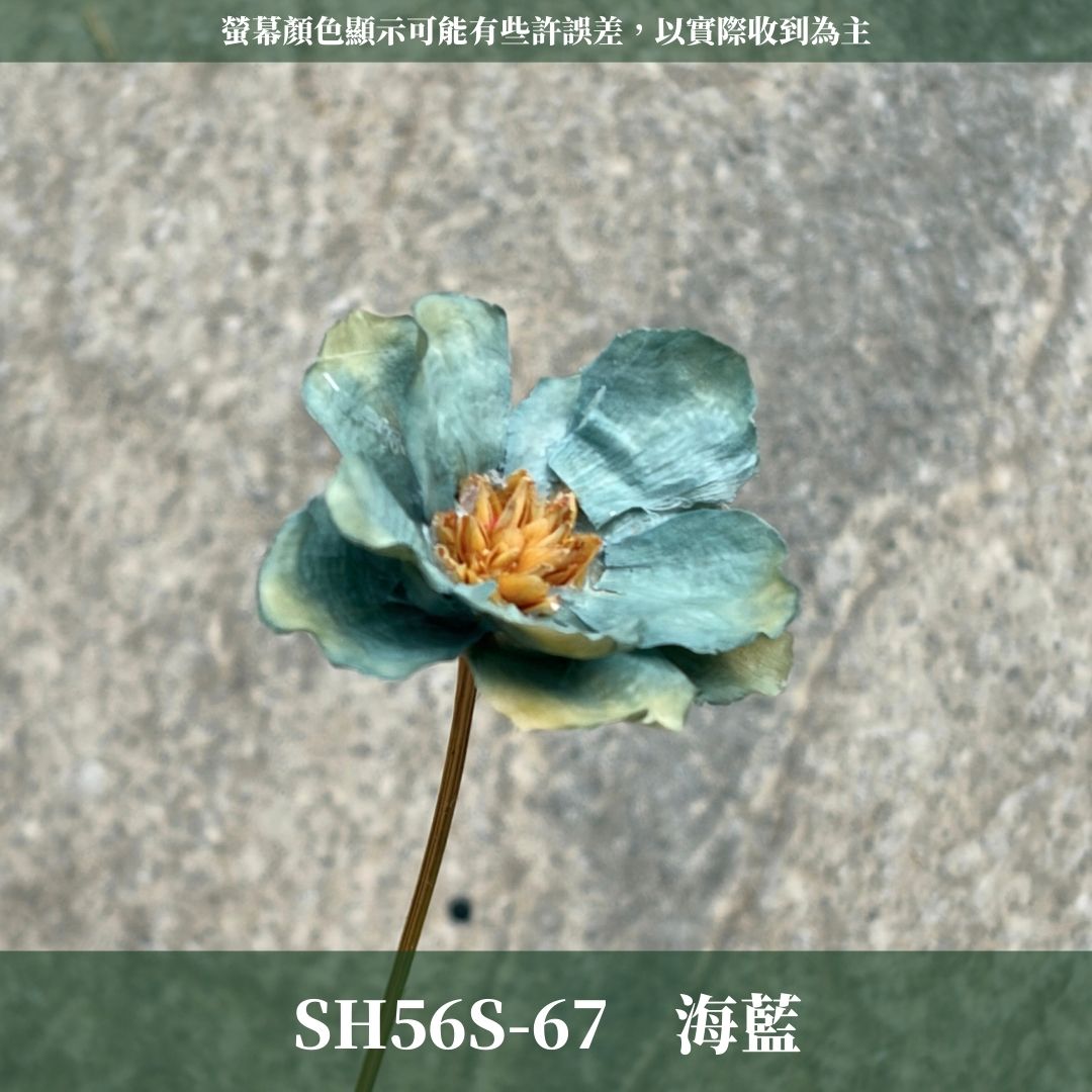SH56S 手工銀連花 單支｜9種顏色！A級乾燥花材料包 手工花主花 永生花 不凋花瓜子花花材 花束花材 花藝師必買
