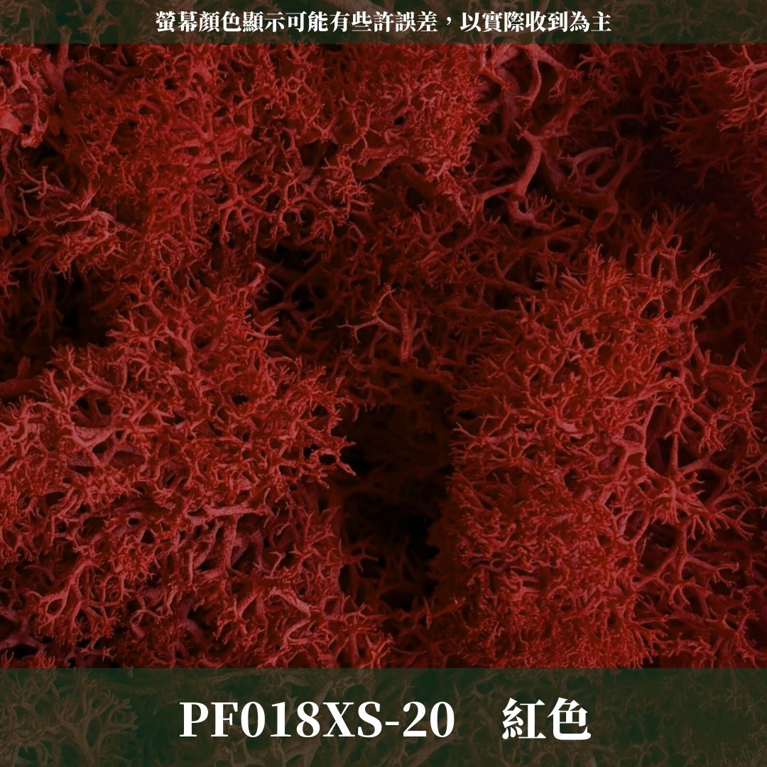 PF018-XS 永生馴鹿苔補充包｜特級永生水草 微景觀水苔 苔蘚造景 乾燥花 不凋花 永生花藝材料 撲底用草 假草皮