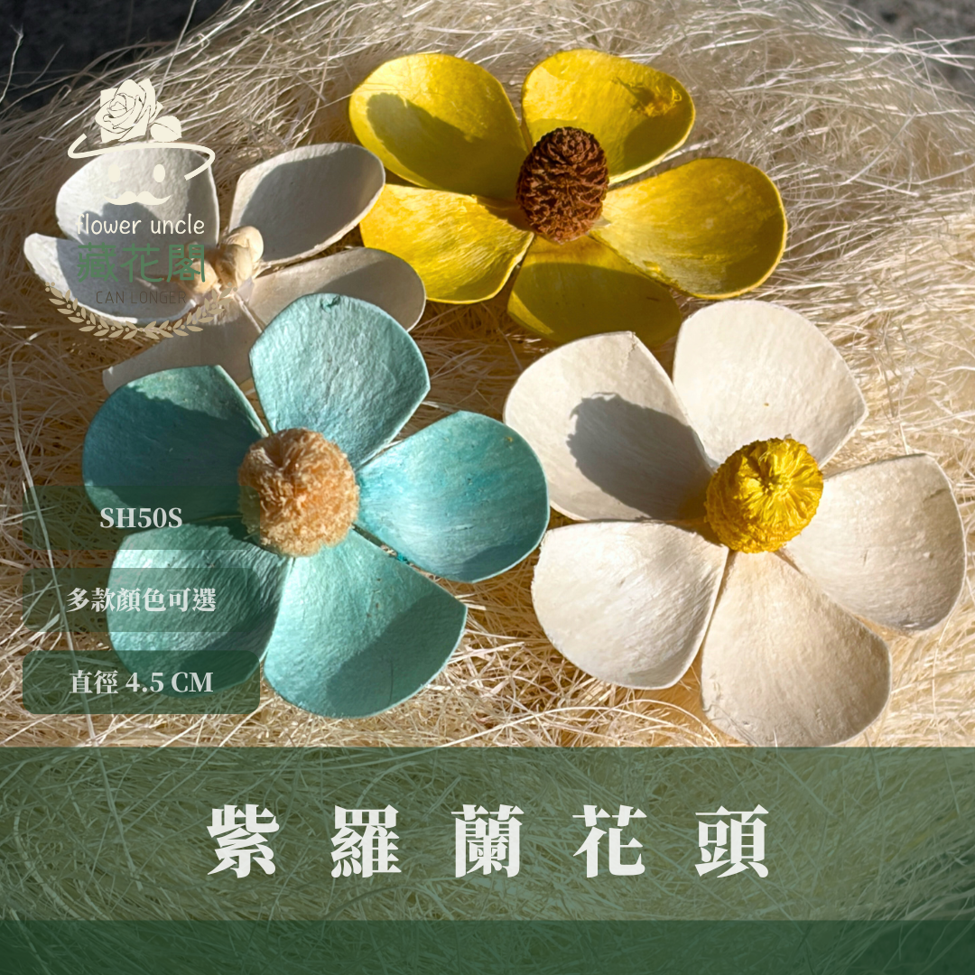 SH50S 紫羅蘭花頭單朵｜木片花 紫羅蘭 蝴蝶蘭 蝴蝶花 手工花 乾燥花 乾燥手工花 DIY裝飾 拍攝道具材料 手作花