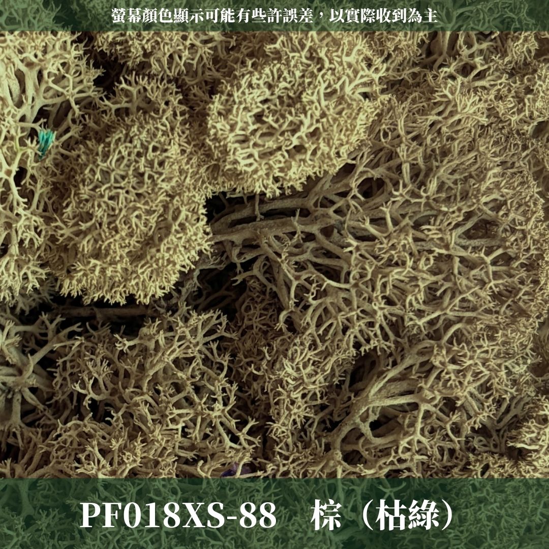 PF018-XS 永生馴鹿苔補充包｜特級永生水草 微景觀水苔 苔蘚造景 乾燥花 不凋花 永生花藝材料 撲底用草 假草皮