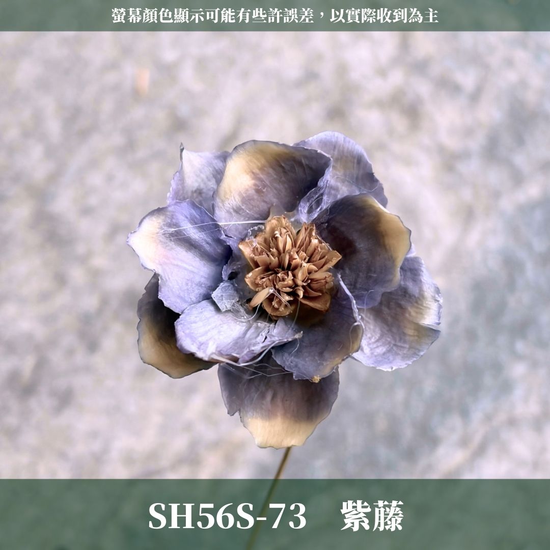SH56S 手工銀連花 單支｜9種顏色！A級乾燥花材料包 手工花主花 永生花 不凋花瓜子花花材 花束花材 花藝師必買
