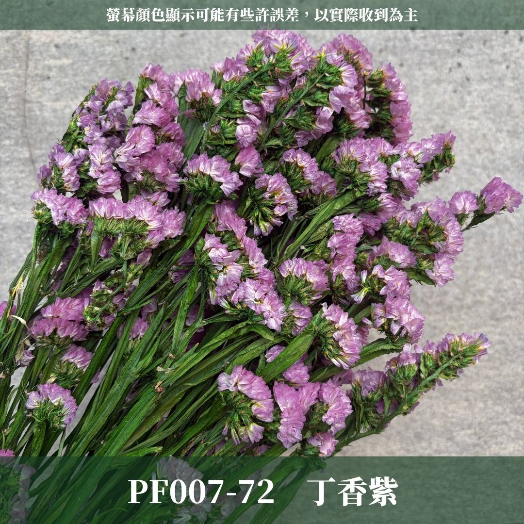 PF007 原裝星辰花｜買四送一｜永生勿忘我 不凋花 永生花材 花藝材料 婚禮花束 DIY捧花 拍照道具 花藝師必買