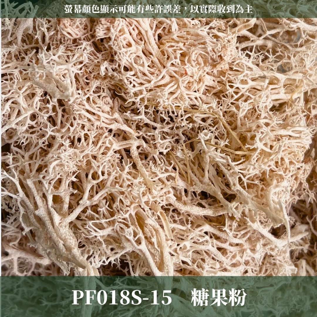 PF018S 永生馴鹿苔經濟包｜特級永生水草 微景觀水苔 苔蘚造景 乾燥花 不凋花 永生花藝材料 撲底用草 假草皮