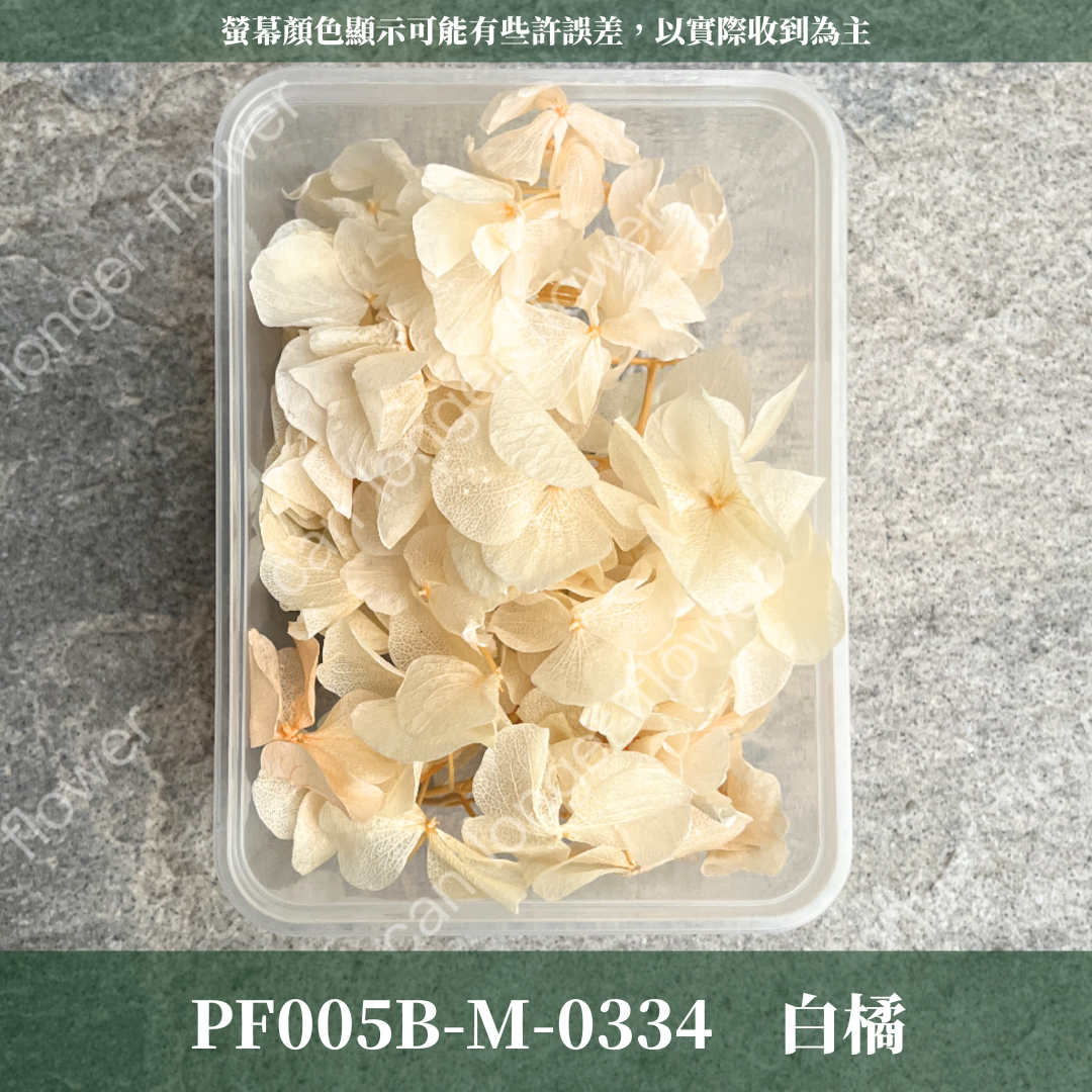 PF005B-S 大葉繡球(10克) 盒裝 紫陽花 夢幻漸變繡球 台灣現貨