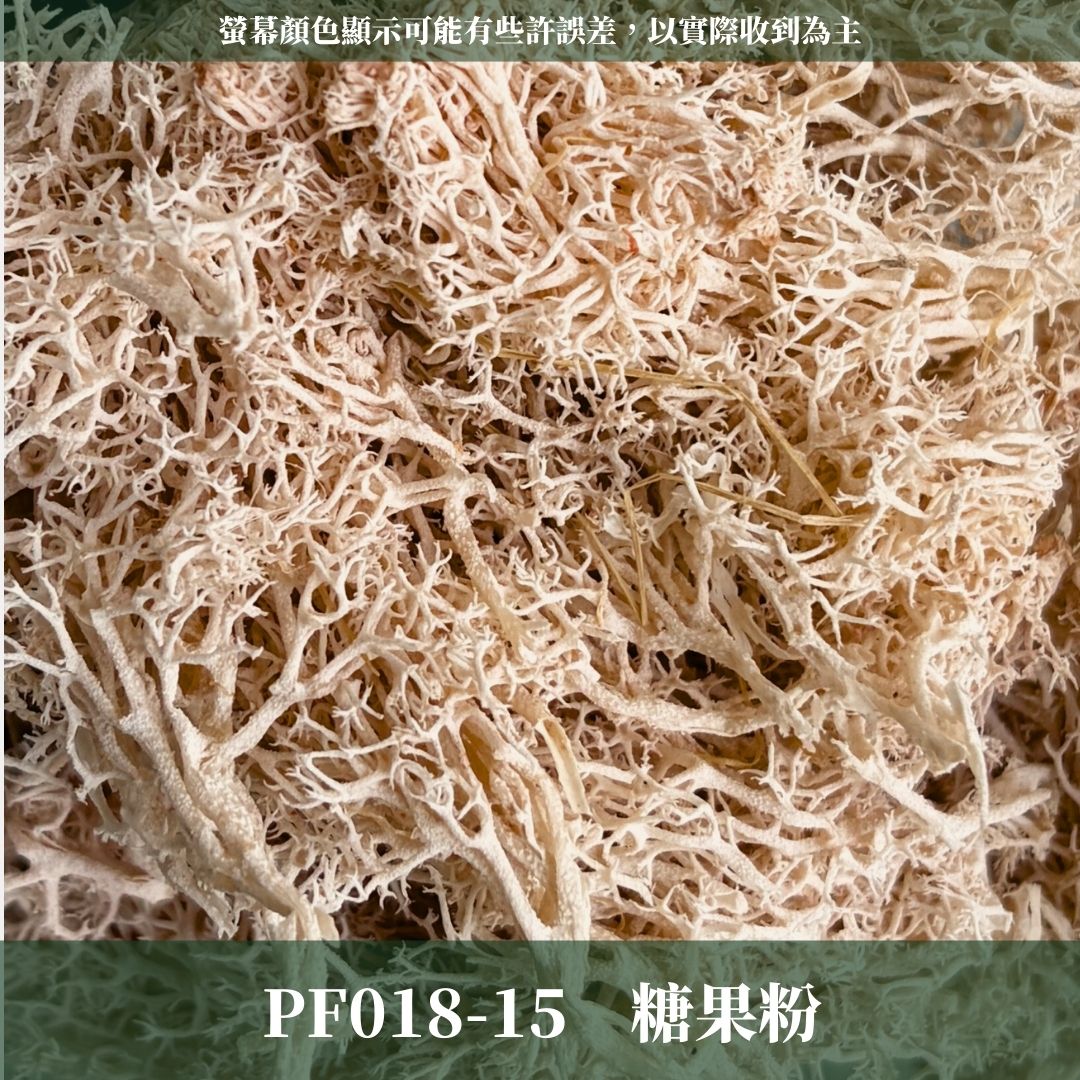 PF018 原裝永生馴鹿苔｜特級永生水草 微景觀水苔 苔蘚造景 乾燥花 不凋花 永生花藝材料 撲底用草 假草皮 moss