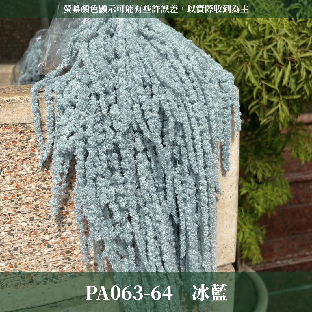 PA063 原裝柔麗絲 永生柔麗絲 永生花 永生花材 紅藜 彩虹米