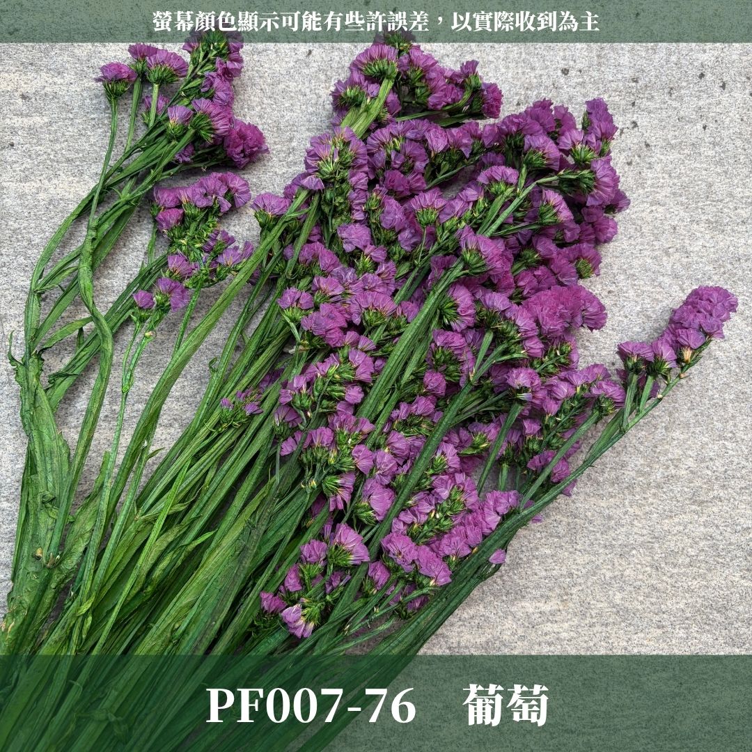 PF007 原裝星辰花｜買四送一｜永生勿忘我 不凋花 永生花材 花藝材料 婚禮花束 DIY捧花 拍照道具 花藝師必買