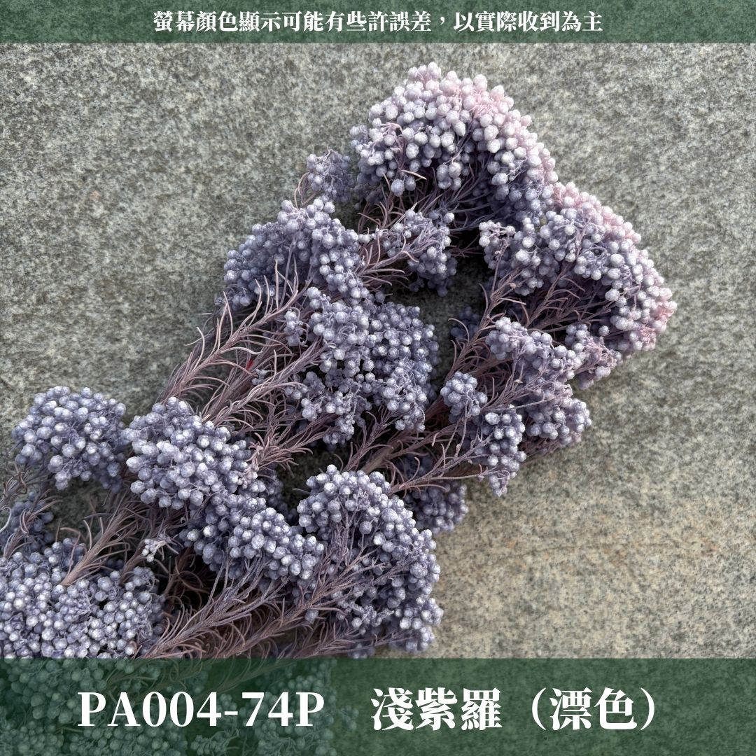 PA004 原裝米香｜永生水稻花 不凋小米花 花束配材 乾燥花 桌花 花盅 插花 花藝師 CP質教學材料 永生花居家佈置