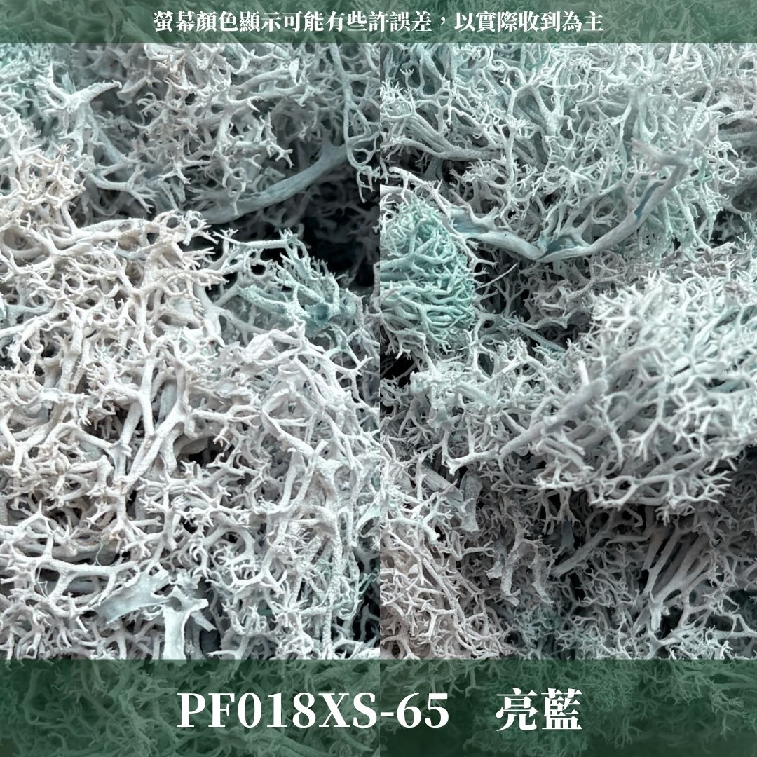 PF018-XS 永生馴鹿苔補充包｜特級永生水草 微景觀水苔 苔蘚造景 乾燥花 不凋花 永生花藝材料 撲底用草 假草皮