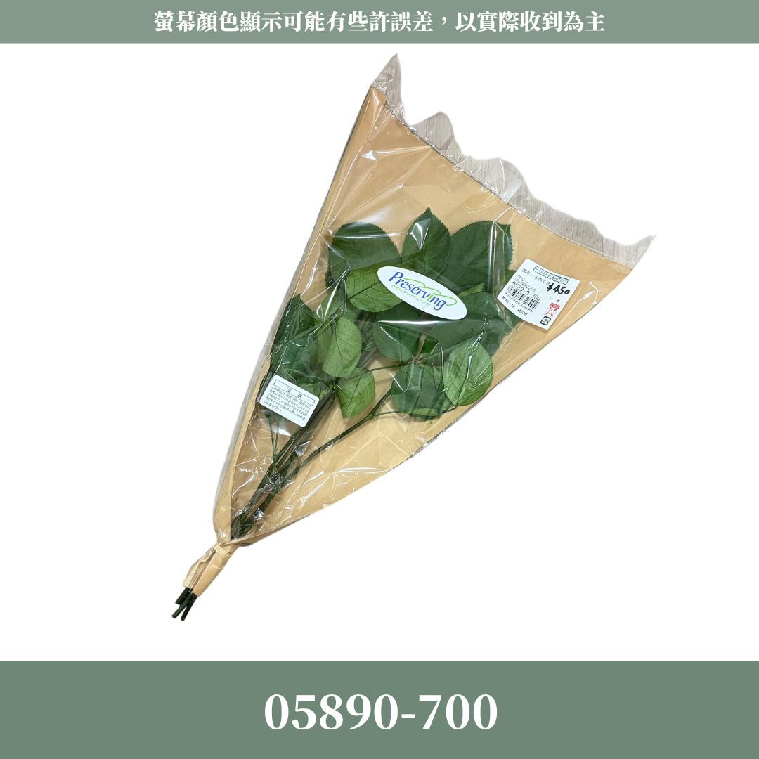 05890 日本大地農園玫瑰花莖 (5支/包) ｜日本進口天然花莖 葉子 樹葉 花束diy 永生花 乾燥花 不凋花
