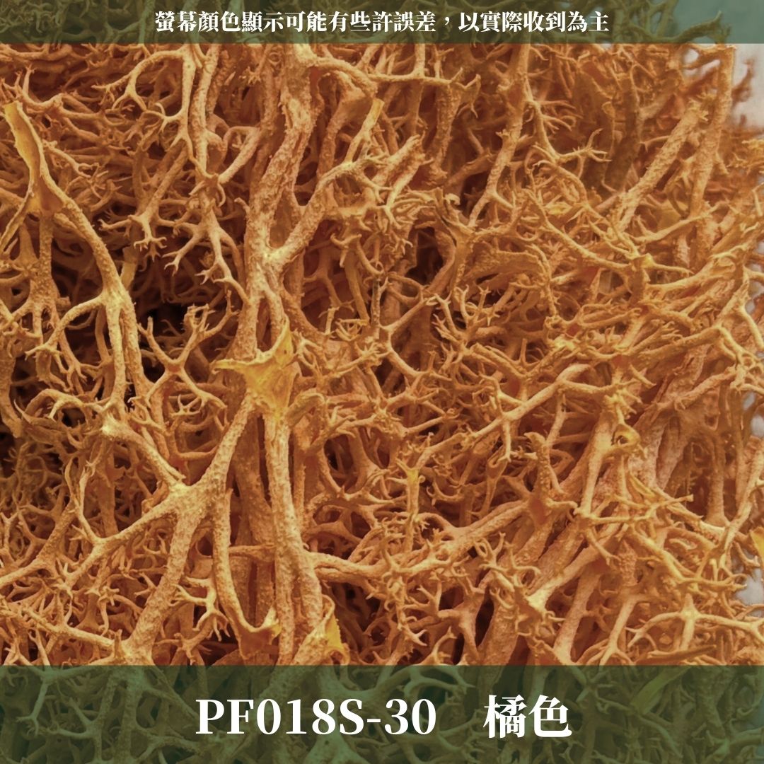 PF018S 永生馴鹿苔經濟包｜特級永生水草 微景觀水苔 苔蘚造景 乾燥花 不凋花 永生花藝材料 撲底用草 假草皮