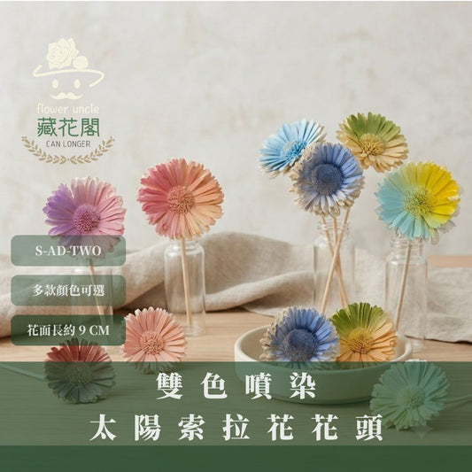 秋季感恩回饋｜S-AD-TWO 原裝雙色噴染太陽索拉花花頭｜限量款｜乾燥太陽花 索拉花 樹皮花 通草花 畢業乾燥向日葵