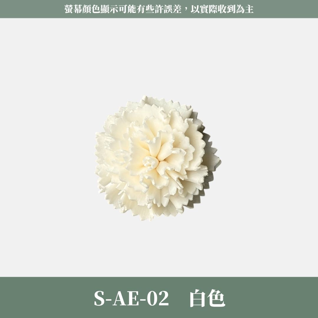 S-AE 4CM康乃馨索拉花花頭｜乾燥花 母親節擴香花 康乃馨花束 母親節花禮 DIY手作 乾燥花花束花禮 乾燥通草花頭