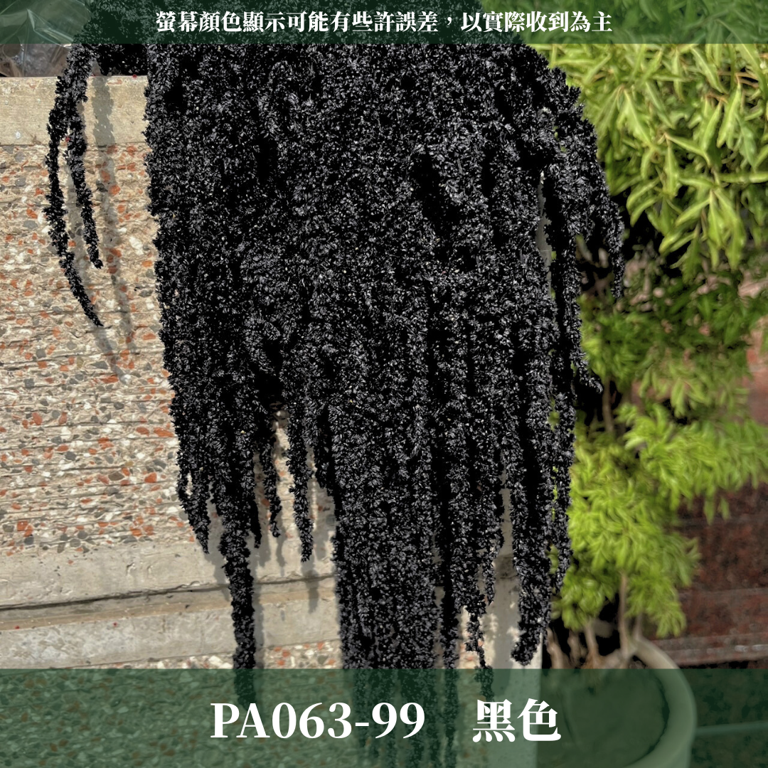 PA063 原裝柔麗絲 永生柔麗絲 永生花 永生花材 紅藜 彩虹米