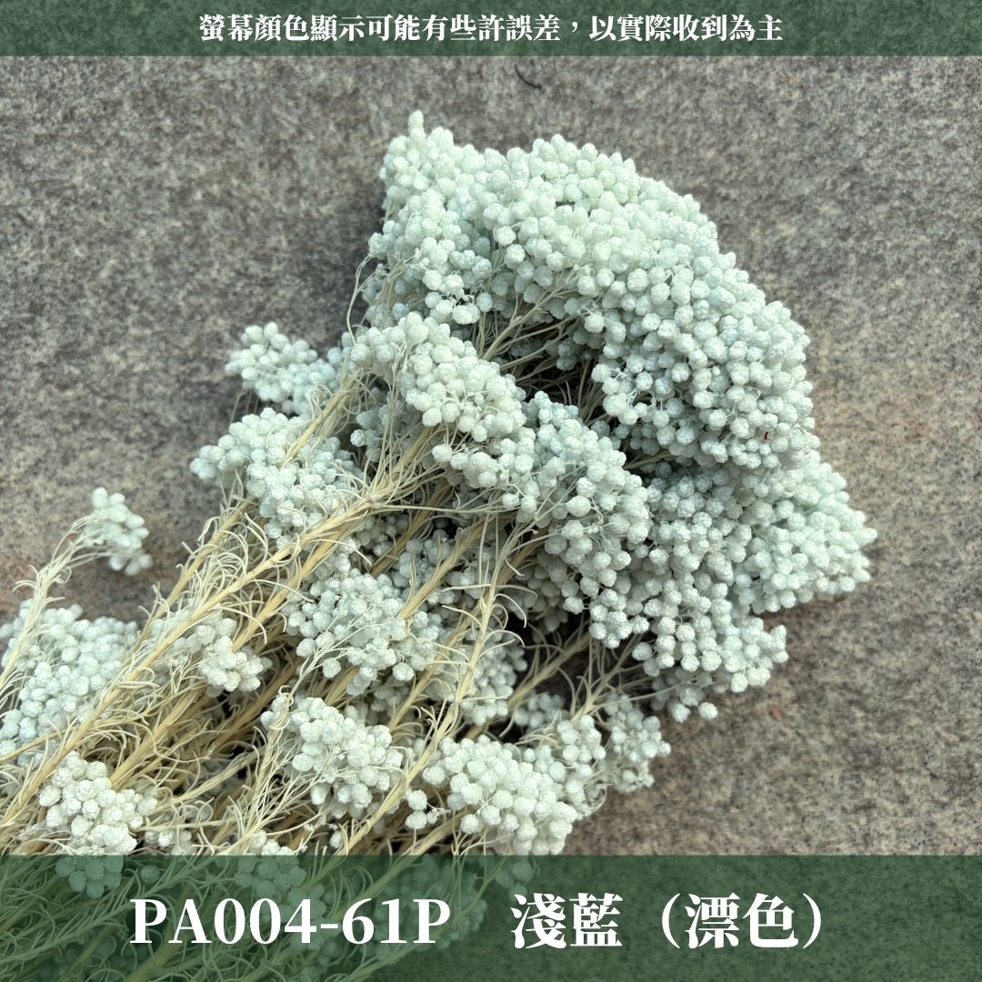 PA004 原裝米香｜永生水稻花 不凋小米花 花束配材 乾燥花 桌花 花盅 插花 花藝師 CP質教學材料 永生花居家佈置