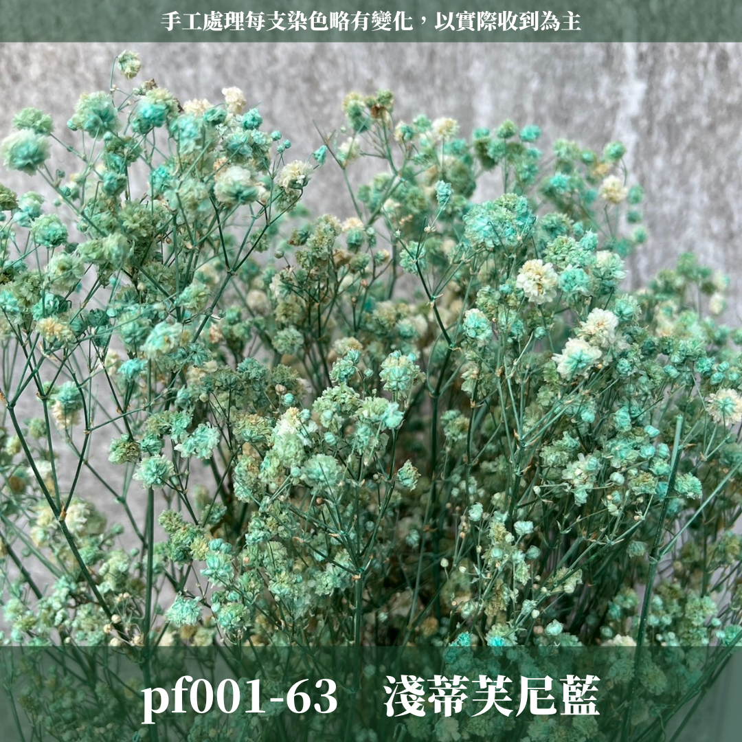 PF001 原裝滿天星｜A級永生滿天星工廠直供 拍攝婚禮佈置 韓式不凋滿天星 抖音款永生花 乾燥花 桌花花束 手作DIY