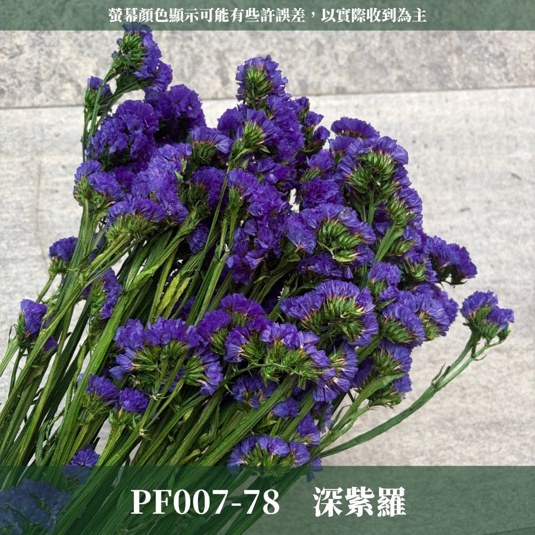 PF007 原裝星辰花｜買四送一｜永生勿忘我 不凋花 永生花材 花藝材料 婚禮花束 DIY捧花 拍照道具 花藝師必買