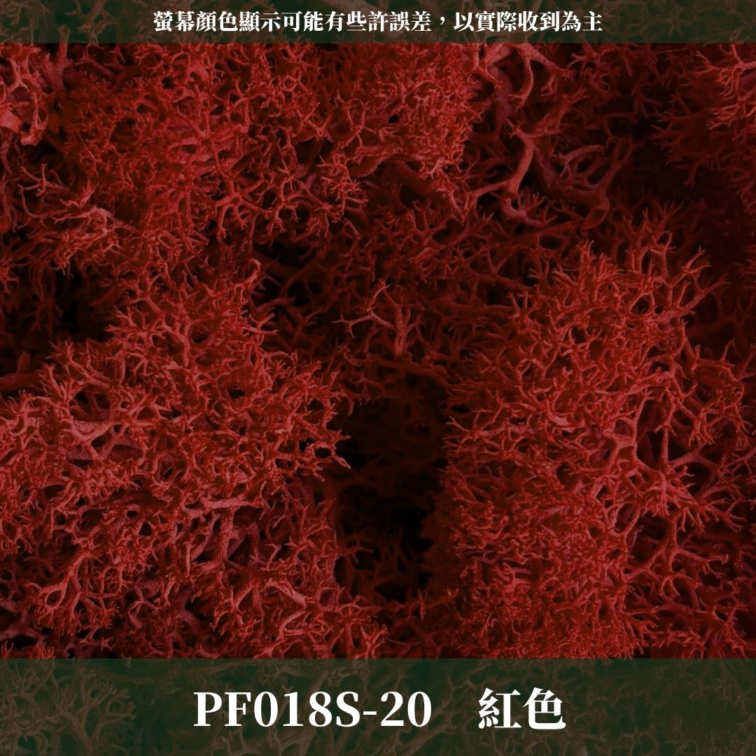 PF018S 永生馴鹿苔經濟包｜特級永生水草 微景觀水苔 苔蘚造景 乾燥花 不凋花 永生花藝材料 撲底用草 假草皮