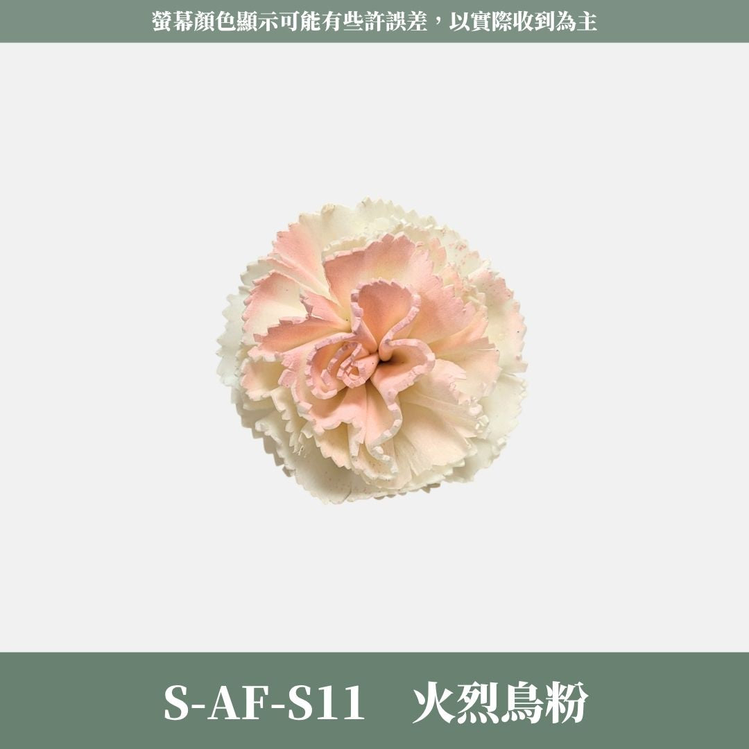 S-AF 6CM康乃馨索拉花花頭｜乾燥花 母親節擴香花 康乃馨花束 母親節花禮 DIY手作 乾燥花花束花禮 乾燥通草花頭