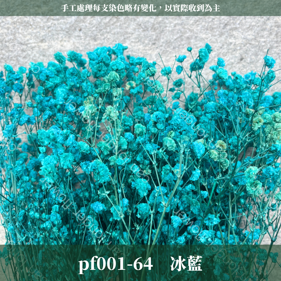 PF001 原裝滿天星｜A級永生滿天星工廠直供 拍攝婚禮佈置 韓式不凋滿天星 抖音款永生花 乾燥花 桌花花束 手作DIY