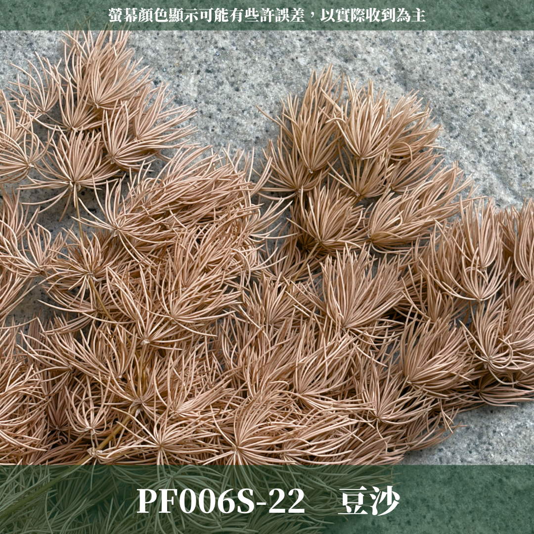 PF006S 經濟包蓬萊松｜永生蓬莱松 不凋蓬萊松 進口蓬萊松 萬壽松 A級永生蓬萊松 松樹 手作花材 花藝設計 台灣現貨 不凋花 永生花 聖誕鬆 聖誕花圈材料 聖誕樹材料 浮游花材料包 壽松 材料包