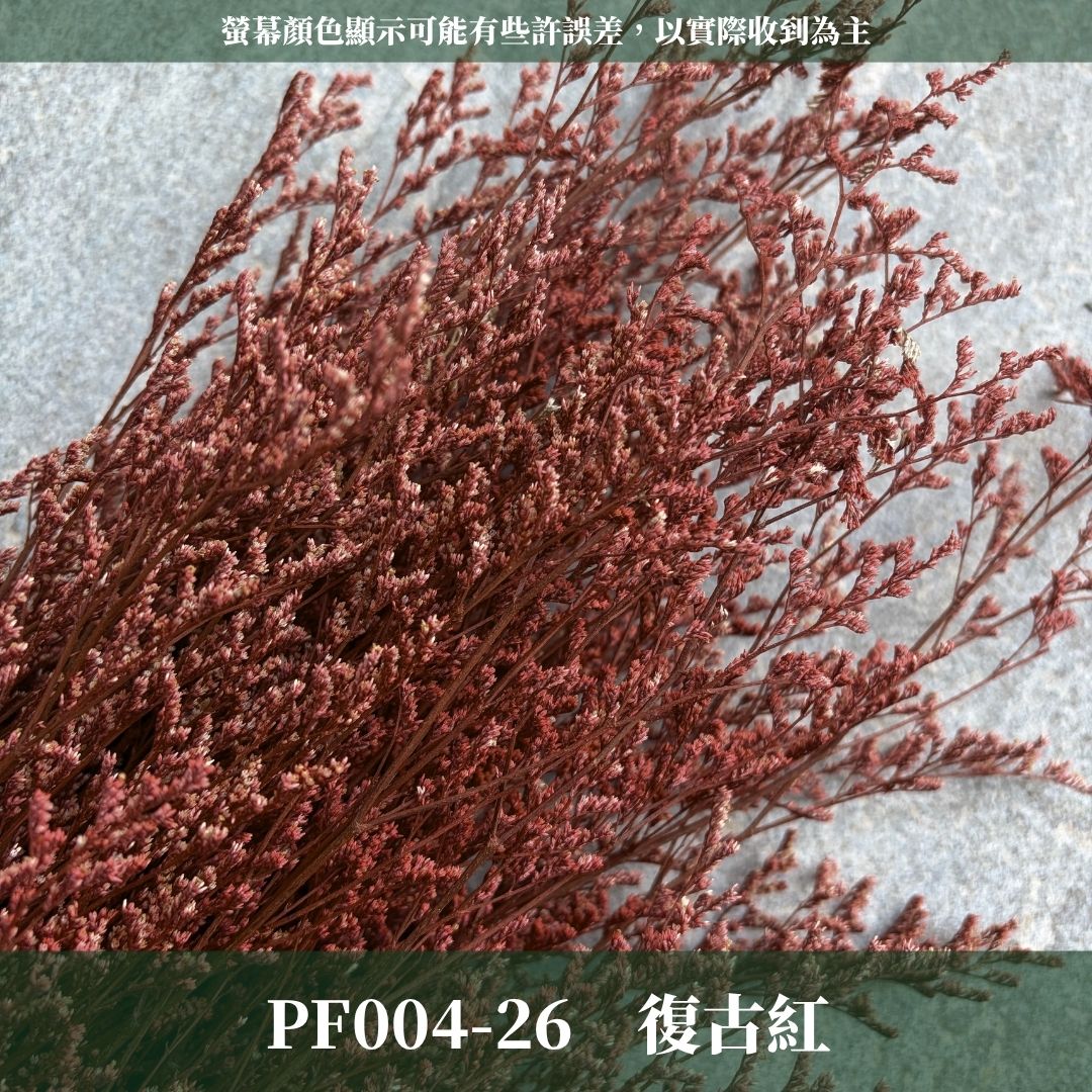 PF004 原裝卡斯比亞｜買五送一！花藝師必買 情人花 永生卡斯比雅 永生花手作DIY 不凋花材 韓式乾燥花材配花 婚禮