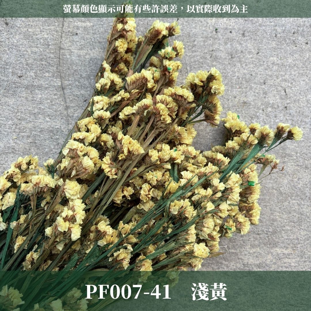 PF007 原裝星辰花｜買四送一｜永生勿忘我 不凋花 永生花材 花藝材料 婚禮花束 DIY捧花 拍照道具 花藝師必買