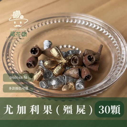 DS004B-M尤加利果(殭屍果) 30顆 果實