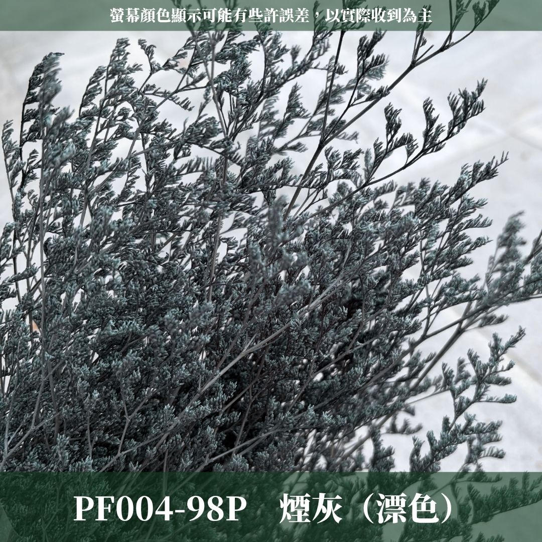PF004 原裝卡斯比亞｜買五送一！花藝師必買 情人花 永生卡斯比雅 永生花手作DIY 不凋花材 韓式乾燥花材配花 婚禮