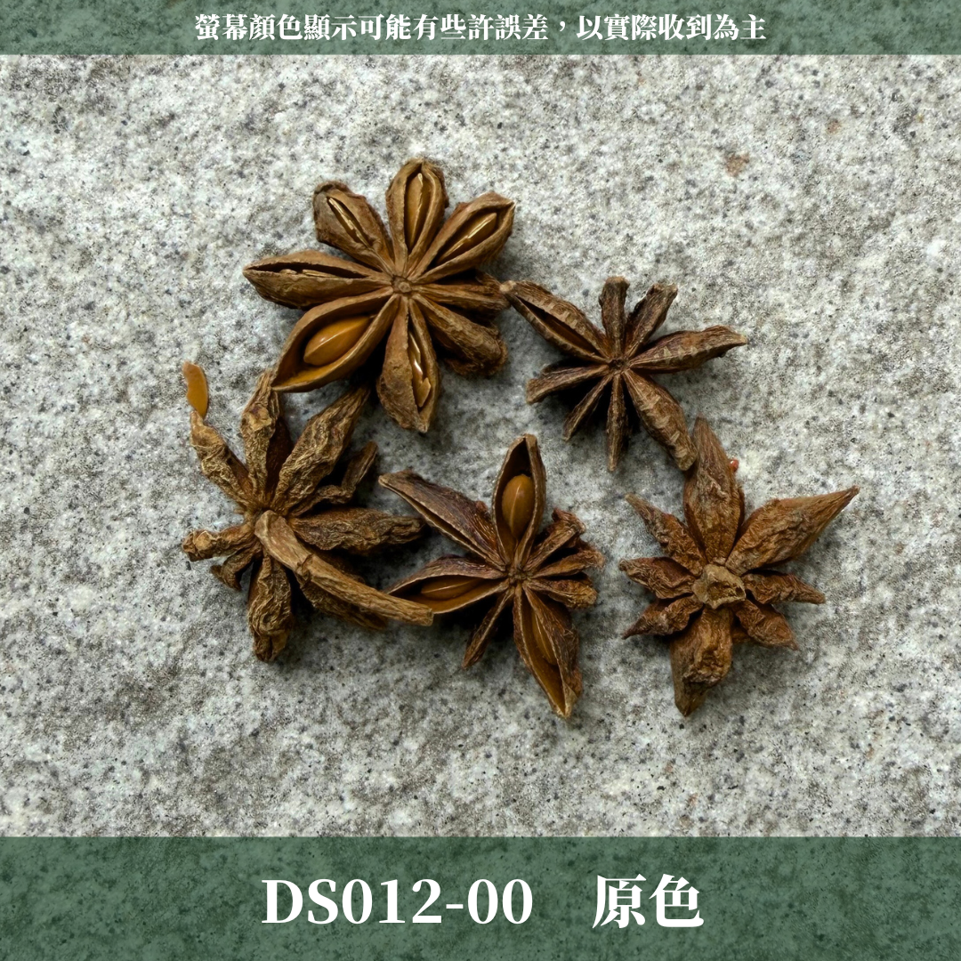 DS012 原裝八角｜挑戰蝦皮最便宜 大茴香 乾燥八角 八角粒 大紅八角 大茴 八角花 金色八角 銀色八角 聖誕花圈材料 花藝果實材料 果實 乾燥果實 出清
